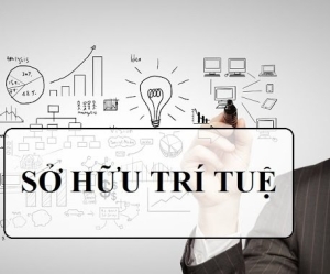 TƯ VẤN SỞ HỮU TRÍ TUỆ