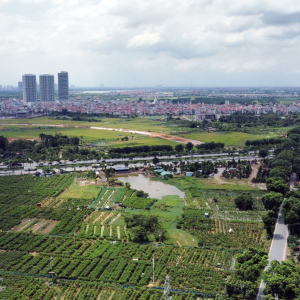 30 THỦ TỤC ĐẤT ĐAI TẠI CẤP TỈNH BỊ BÃI BỎ TỪ NGÀY 02/02/2026