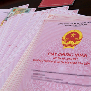 TRƯỜNG HỢP TRANH CHẤP ĐẤT ĐAI KHÔNG CÓ SỔ ĐỎ